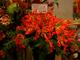 Blog071213b Blog071213b